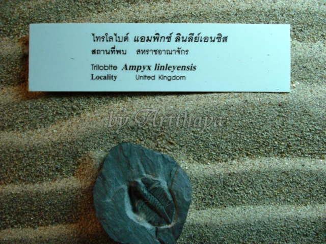 Museum21.JPG